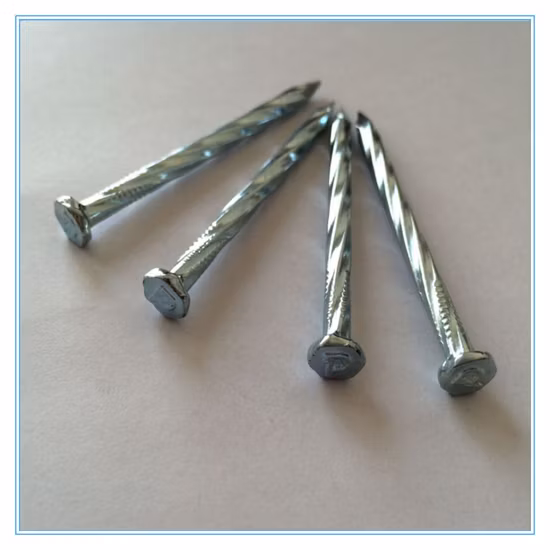 Wholesale Galvanized Smooth / Twisted Shank 2.5" 2" 12bwg 7lbs 8boxes 3.125kg / Box Umbrella Head Roofing Concrete Common Water Pipe Nails