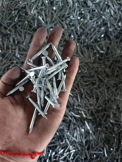 Wholesale Galvanized Smooth / Twisted Shank 2.5" 2" 12bwg 7lbs 8boxes 3.125kg / Box Umbrella Head Roofing Concrete Common Water Pipe Nails