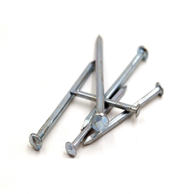 Laos Vietnam Philippines Singapore Market/Factory Supply Electro Galvanized Square Boat Nails for Boat Building1 Buyer