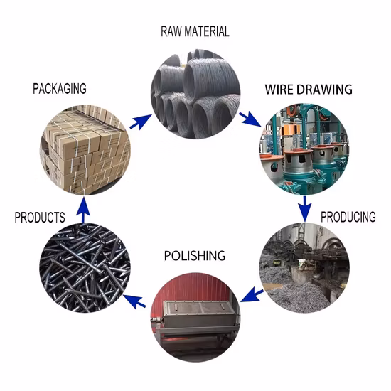 Electronic Galvanized Square Nail/The Square Boat Nail