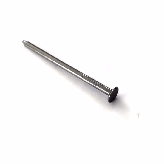 Q195 Flat Head Bright Common Nails/ Wire Nails/Pallet Nails/ Coil Roofing Nails/ Concrete Nails/ Iron Nail/U Type Nails/Framing Nails