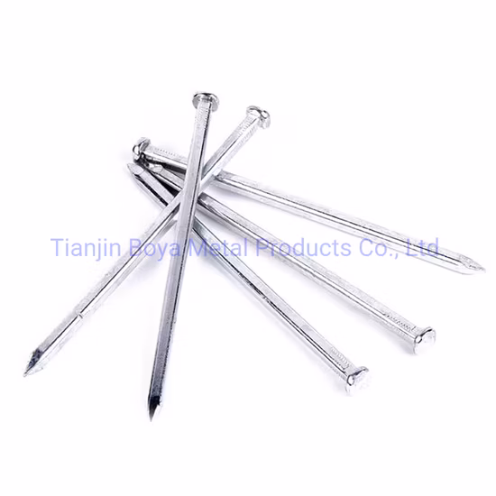 Factory Price Square Boat Nail/Polished Boat Nail with Different Size