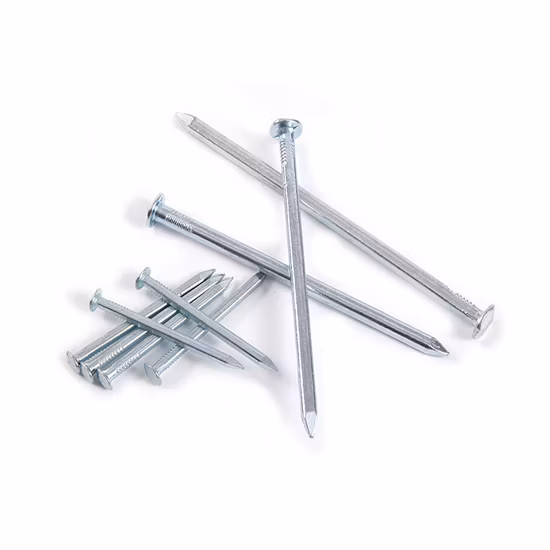 Boat Nails China Supplier Cheap Square Boat Nail