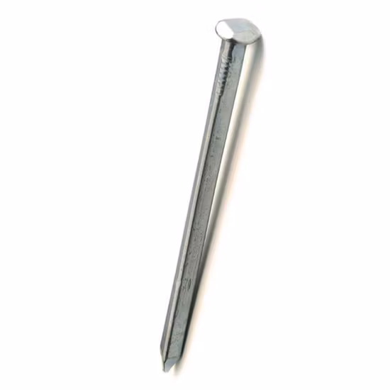 Factory Price Square Boat Nail/Polished Boat Nail with Different Size