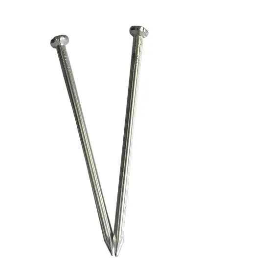 Hardware Fastener Electro Galvanized Steel Concrete Nails 3.0mm*40mm