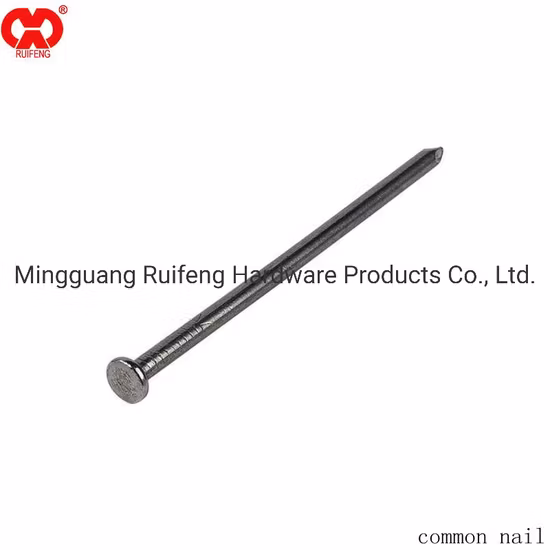 Common Nail Top Selling Bulk Nail