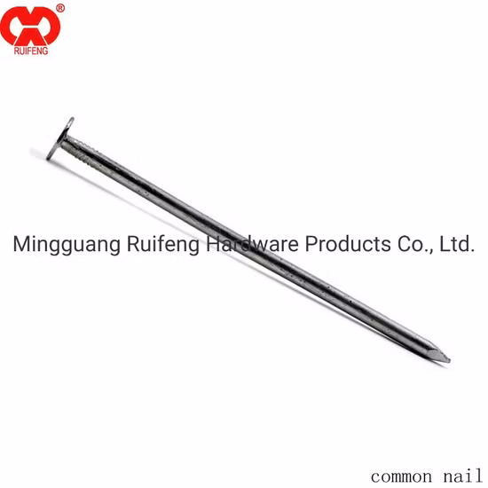China Manufacture Nail Common Nail Bulk Nail in Cheap Price
