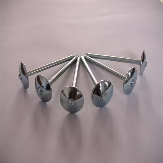 Umbrella Head or Color Head Galvanized Roofing Nail Smooth or Twisted Shank