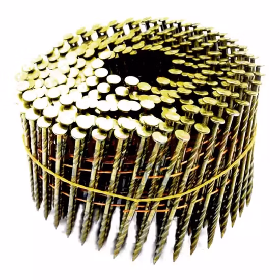 Wholesale Stainless Steel Iron Coil Nails for Pneumatic Nailer