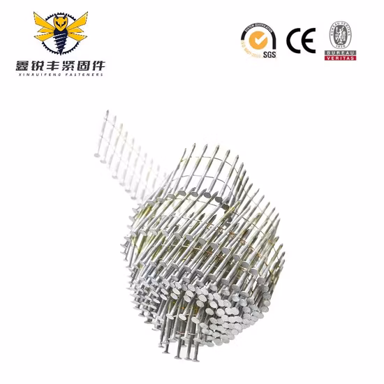 Pneumatic Fasteners Collated Pallet Wire Coil Nails