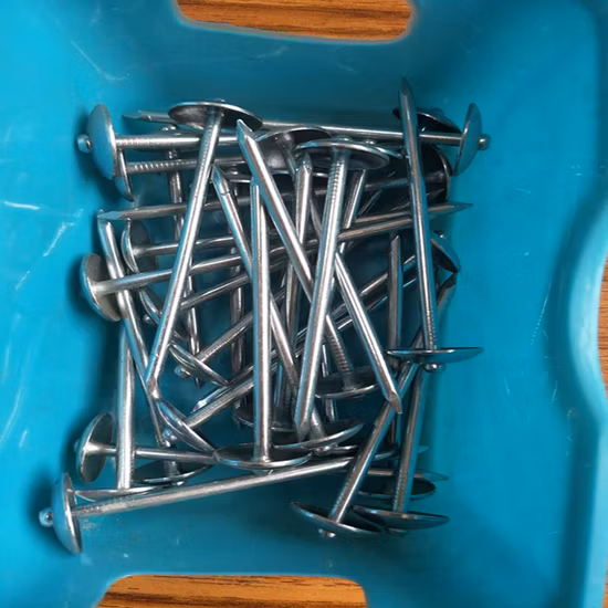 2-1/2 Inch 3 Inch Smooth Shank or Twisted Shank Galvanized Umbrella Head Roofing Nail with Rubber Washer South Africa