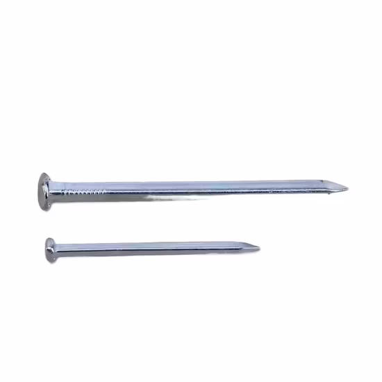 Factory Supplier High Quality Common Nail Square Shank Electro/Hot Dipped Galvanized Square Boat Nail